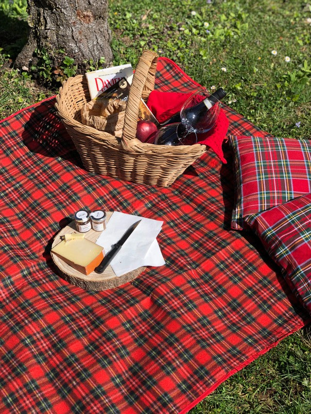 Coperta da Picnic Scozzese Ripiegabile